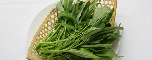 如何挑选空心菜 空心菜怎么挑选