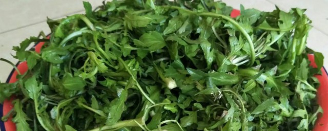 荠菜发黄发黑能吃吗 荠菜发黄发黑可以吃吗