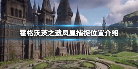 霍格沃茨之遗凤凰在哪 霍格沃茨之遗凤凰捕捉位置介绍