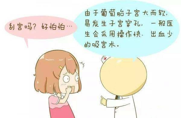 怀孕发现是葡萄胎