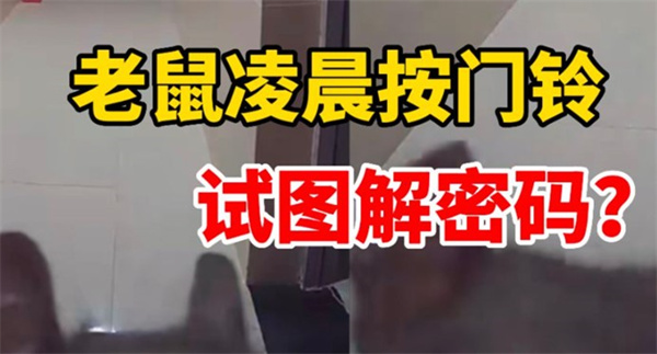 老鼠半夜按门铃输密码把房东吓坏