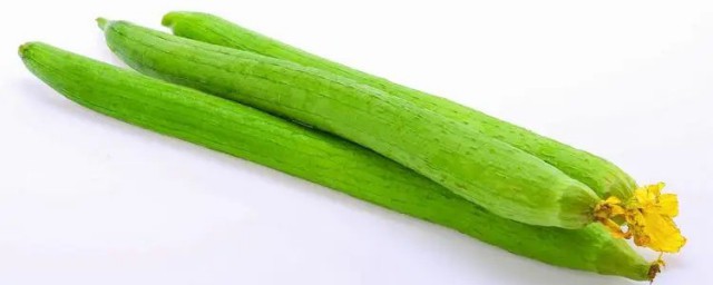 丝瓜什么季节吃 丝瓜是什么季节的蔬菜