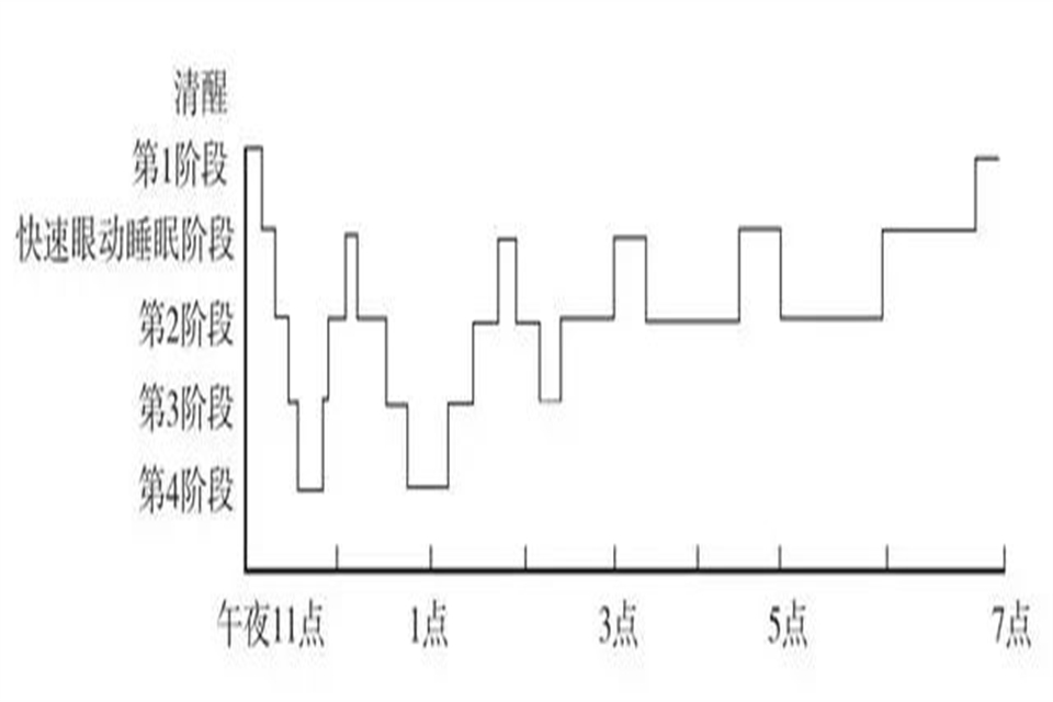 1.5小时睡眠法则