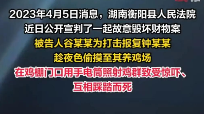 啊？！男子用手电筒吓死1100只鸡获刑