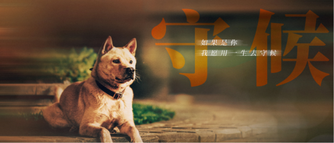 忠犬八公今日上映 爱狗人士可以看起来了