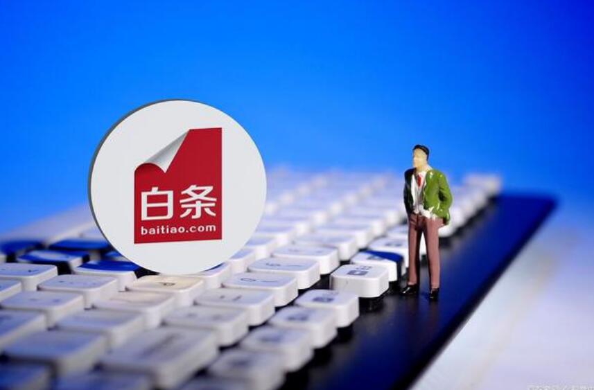 京东白条