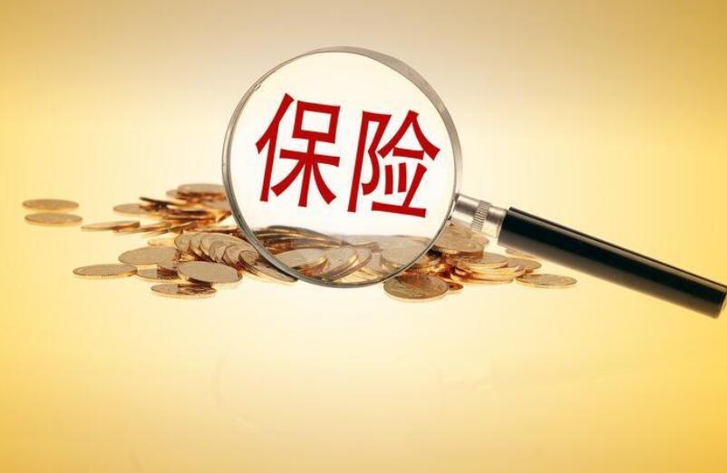 保险市场