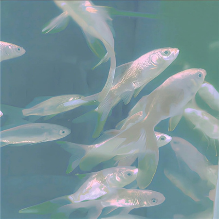 漫长的季节漏洞有哪些 漫长的季节凶手是谁结局是什么