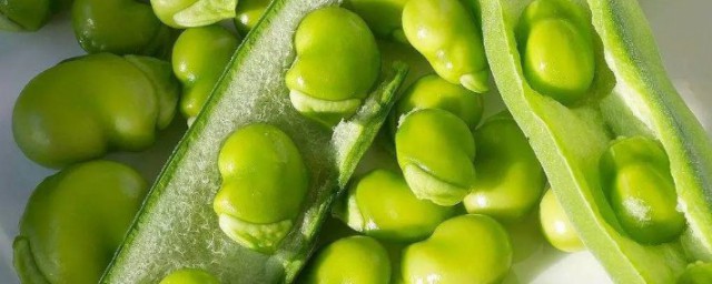 新鲜蚕豆瓣怎么冷冻保存 新鲜蚕豆瓣如何保存