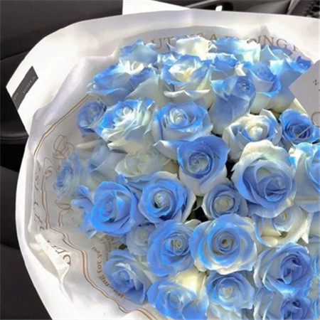 漫长的季节故事分析 漫长的季节秦昊结局是什么