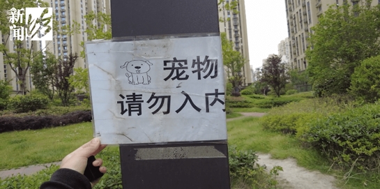 上海男子在遛狗时未栓绳