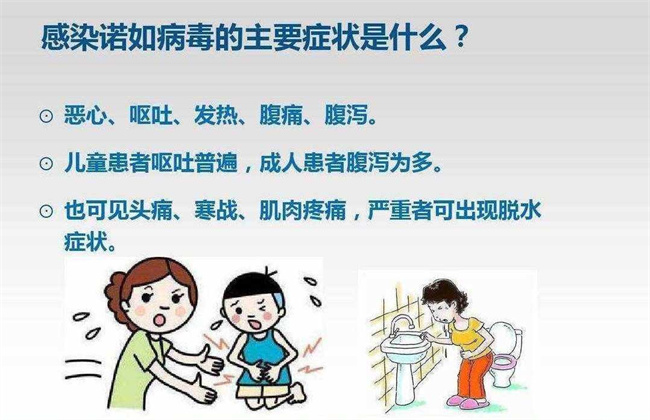 你所不知道的诺如病毒