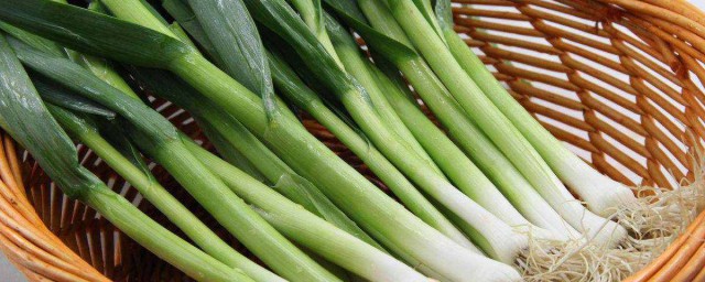 如何保存新鲜大蒜叶 怎样保存新鲜大蒜叶