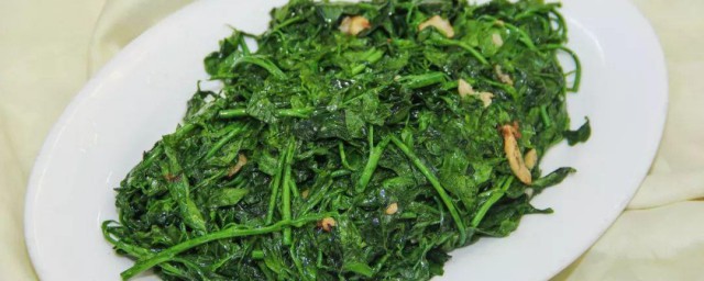 如何保存新鲜荠菜 新鲜荠菜怎么长期保存