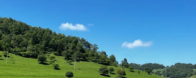 关山牧场几月份去最好 关山牧场多少月份去最好