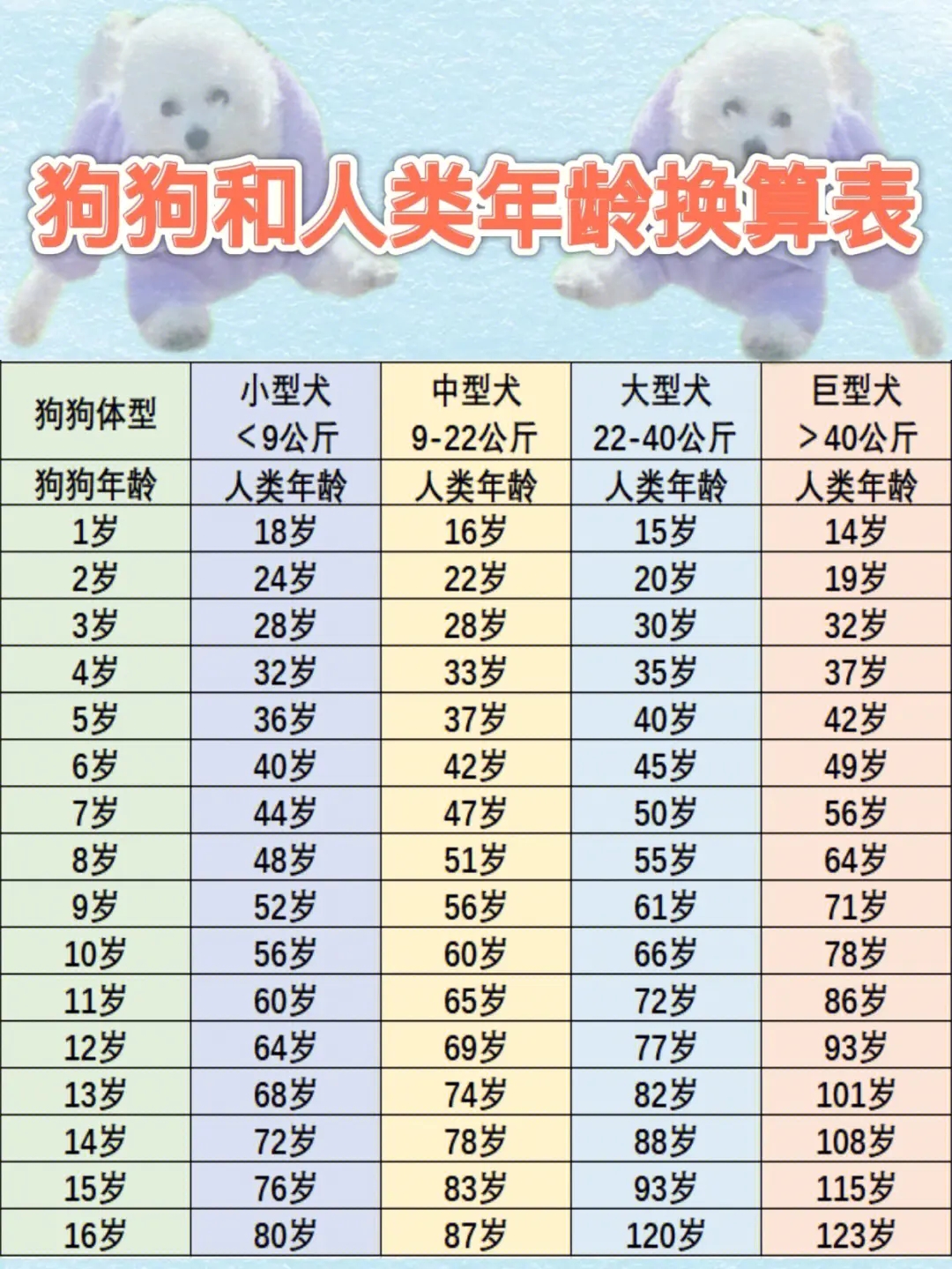 12岁的狗狗相当于人多少岁