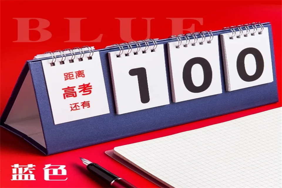 100days是什么意思