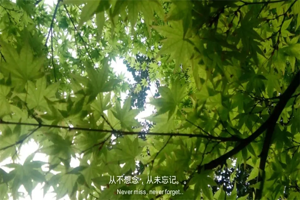 21天不联系一个人就会忘吗