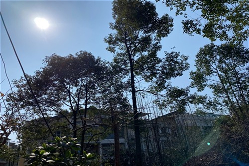 4点以后的太阳会晒黑吗