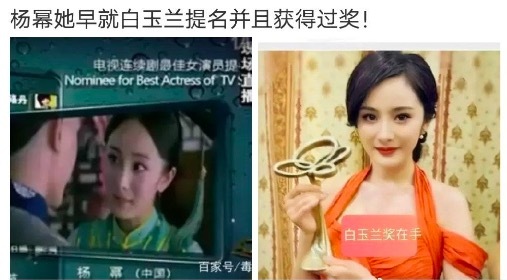 杨幂早就提名过白玉兰奖？ 网友：那个是粉丝投票“最具实力女演员”，不是最佳女主角！