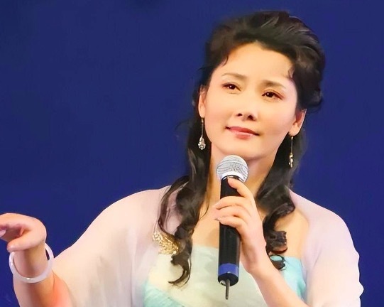 何赛飞个人资料简介及老公 何赛飞的表演经历有多丰富