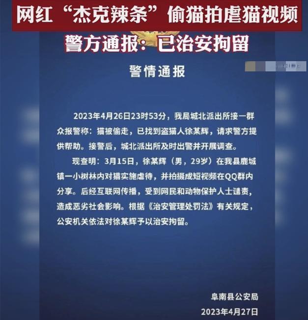 杰克辣条虐猫事件怎么爆出来的 杰克辣条虐猫事件原委