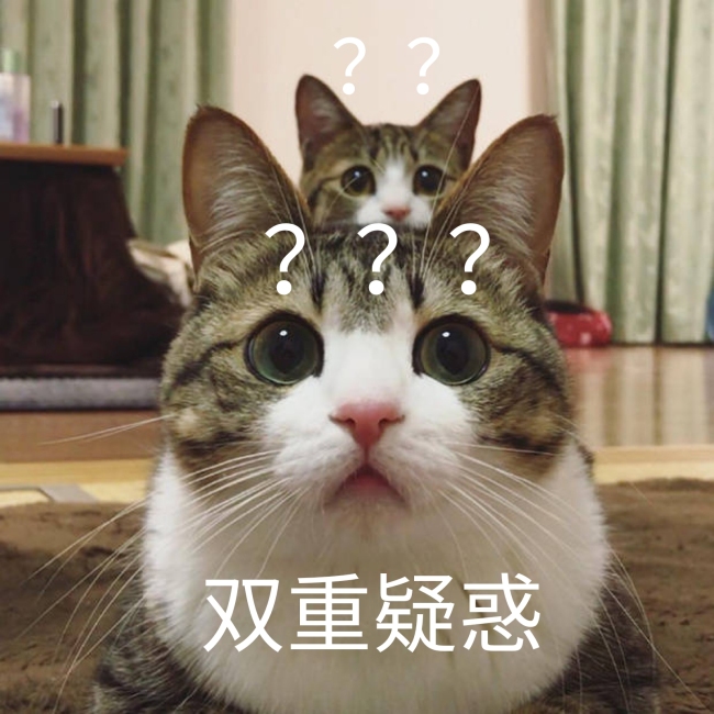 隔周双休制是怎么回事？