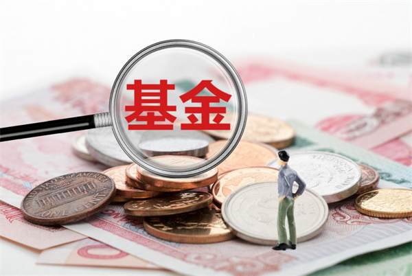 有没有适合小白的定投基金购买技巧