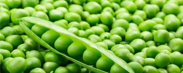 碗豆泡多了怎么存放 豌豆如何保存