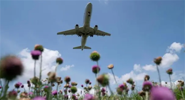 2023年全球航空业净利98亿美元较去年预测翻番