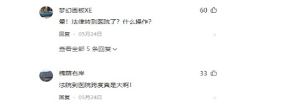 法院领导担任医院主官合适吗