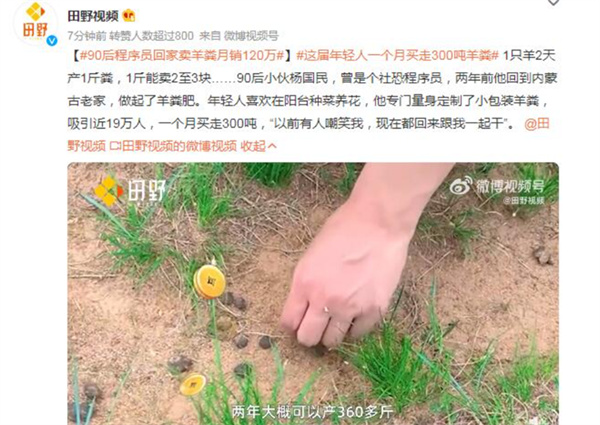 90后程序员回家卖羊粪