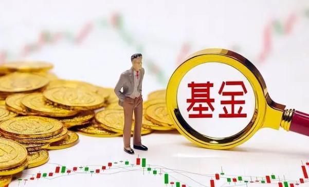 基金当天涨跌看估值还是净值