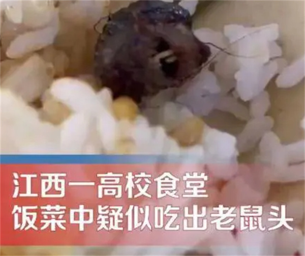 “指鼠为鸭”相关食堂、学校、市监部门责任如何划分