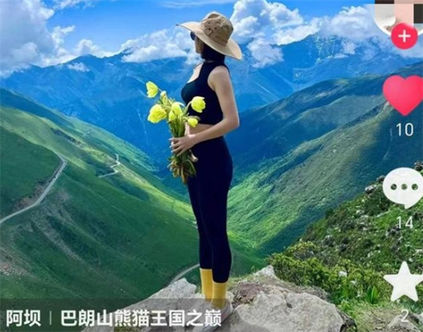 女游客巴朗山采绿绒蒿拍照卧龙保护区：违规穿越将追责