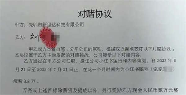 女子与公司签对赌协议:涨粉奖2万失败放弃两月薪酬
