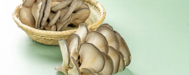 黑鱼加什么菇炖汤最好吃 黑鱼加哪种菇炖汤最好吃