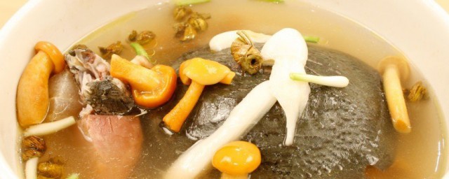 甲鱼加什么炖汤喝最好吃 甲鱼配什么炖汤好喝