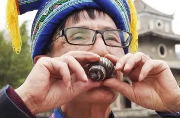 十大口袋乐器 卡祖笛上榜,第一简单易学