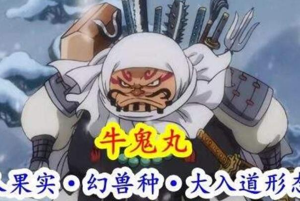 10大幻兽系恶魔果实 蝙蝠果实上榜,第一自愈能力强