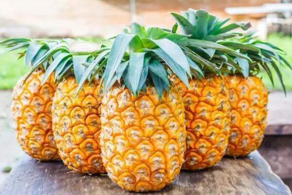 怀孕1一3月禁吃的十大水果，消暑圣品上榜，第二常食会上火