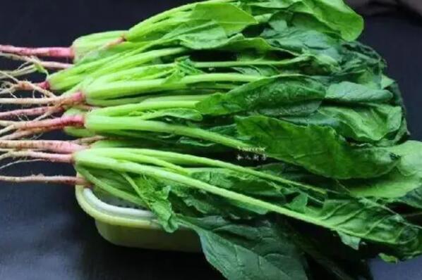 十大碱性食物要常吃，菠菜仅排第四，第二是补铁的良好来源