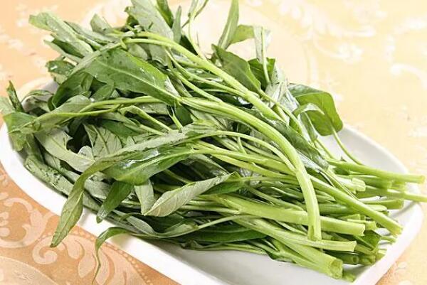 十大碱性食物要常吃，菠菜仅排第四，第二是补铁的良好来源