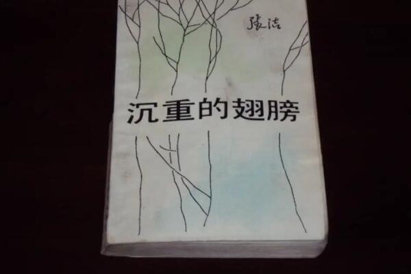 茅盾文学奖十大最佳作品，秦腔排第五，第三是中国版百年孤独