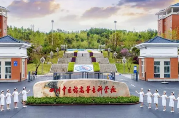 四川大专排行榜前十，成职院排第一，第三是航空学校