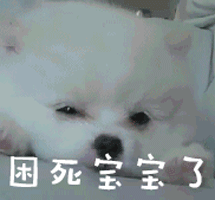 铁子，你几点睡觉？“最佳睡眠时间”出炉