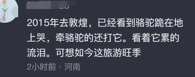 敦煌骆驼疑似被人骑死了！ 骆驼倒地累到痛苦哀嚎，景区已暂停此项目