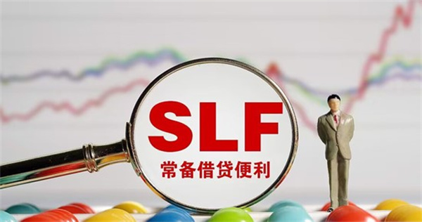 slf和mlf有什么区别