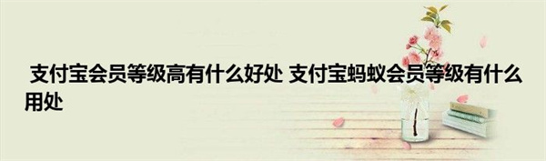 支付宝蚂蚁会员等级有什么用