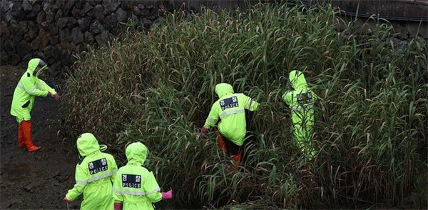 韩国确认249名幽灵儿童死亡